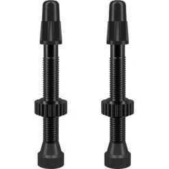 WTB Pair Of Tubeless Valves Presta Aluminium 46mm
