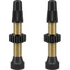 WTB TCS PRESTA Pair Of Tubeless Valves Brass 34 Mm